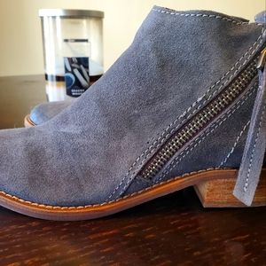 Dolce Vita booties grey